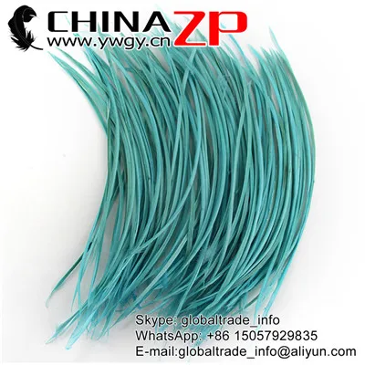 Light Blue Chinazp Feathers Розничная торговля Размер 20~ 25 см(8~ 10 дюймов) 100 шт./лот экспорт хорошее качество DIY украшения гусиные биоты перья - Цвет: Light Blue