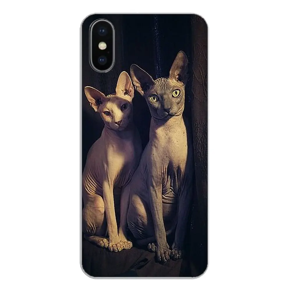 Силиконовый чехол для телефона Friendliest sphynx cat kitty Poster Huawei P20 Lite Nova 2i 3i 3 GR3 Y6 Pro Y7 Y8 Y9 Prime