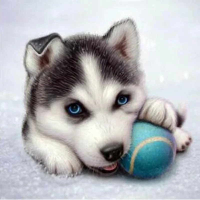 

5d diy diamond embroidery Full diamond painting cross stitch animal Husky dog picture diamond mosaic pattern Home decor gift