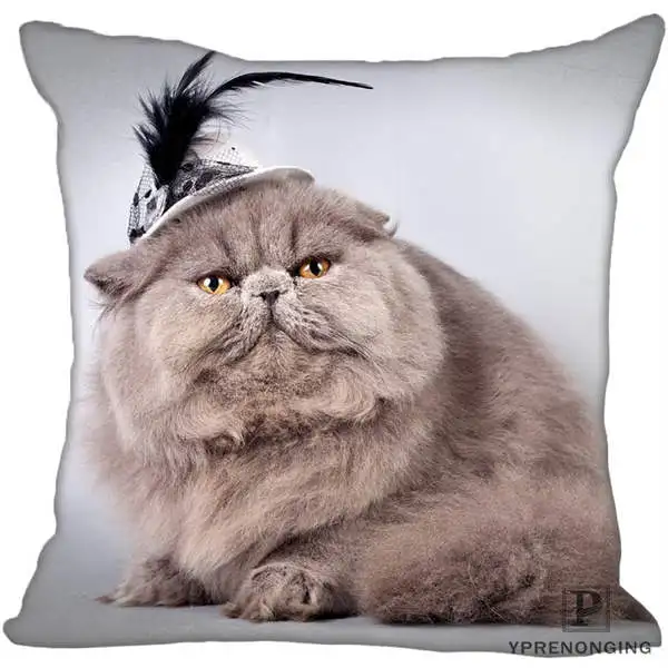 Square Pillowcases Custom Decorative Pillowcase Cats Kitten Rain Square Zippered Pillow Cover(One Side)80527-21-03 - Цвет: Square Pillowcases