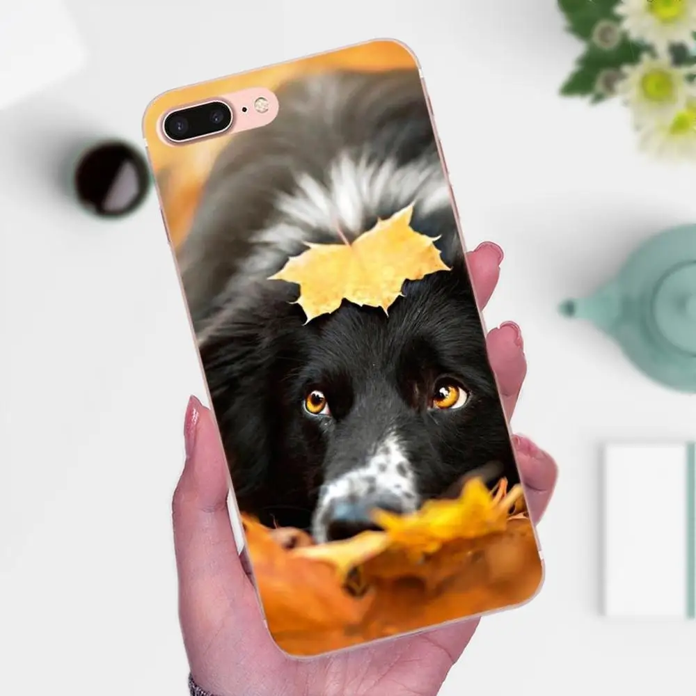 Границы собака колли породы аксессуары для телефона чехол для Huawei P8 P9 P10 P20 P30 Коврики, 7, 8, 9, 10, 20 Lite Plus Pro