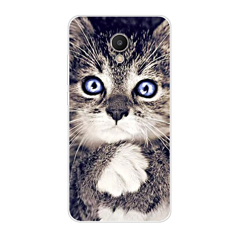 Case For MeizuM5s M6 M6s Transparent Printing Drawing Silicone Phone Cover |