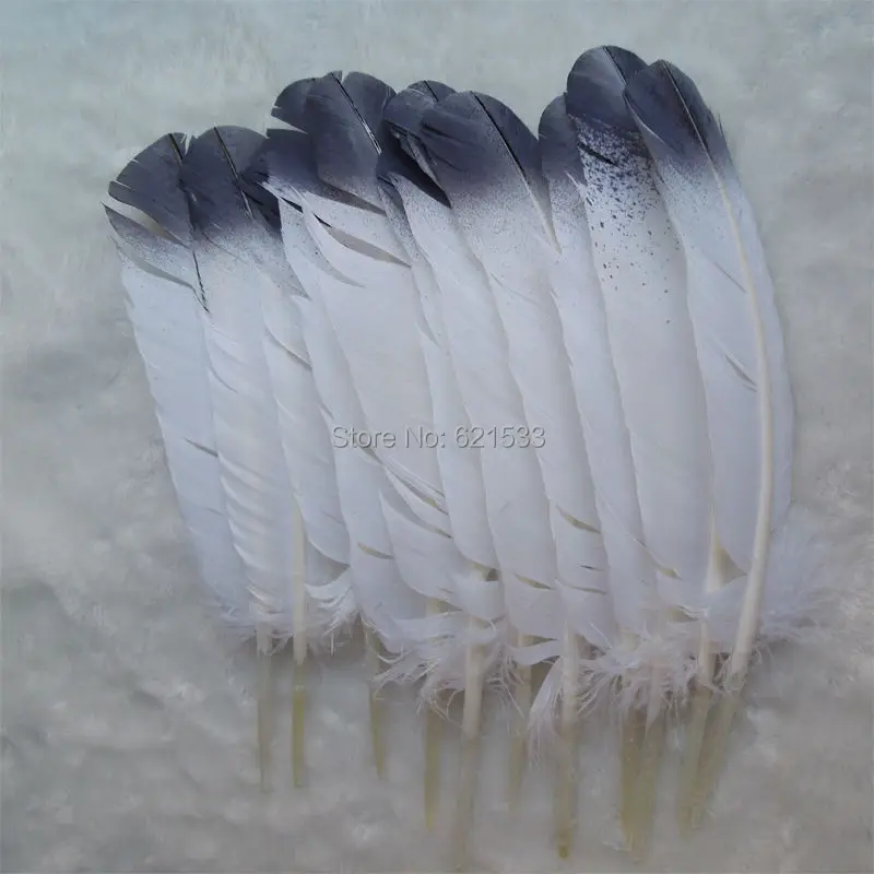 

30Pcs/lot!25-30cm long Turkey quill feathers with black plating top,Fly Tying or Crafts, turkey feathers