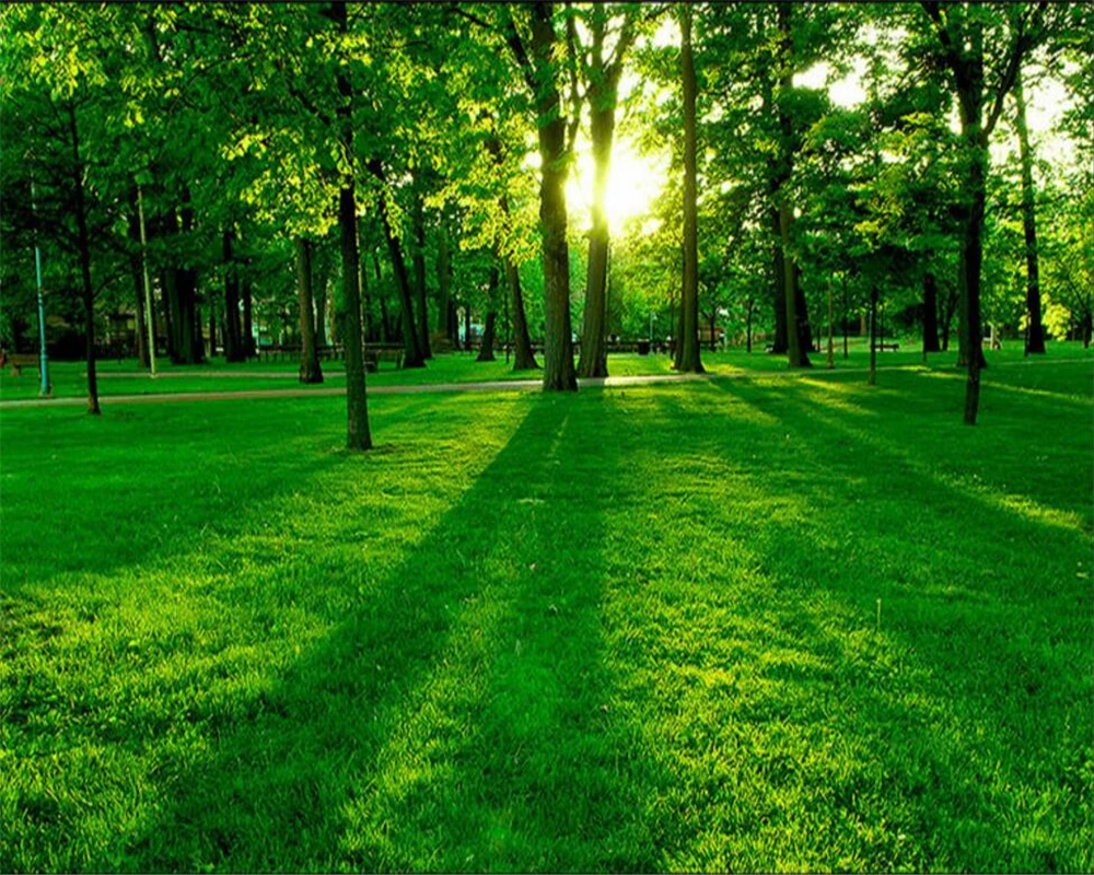 

Beibehang The murals on wall wallpaper landscape trees green grass 3d wallpaper TV sitting room household adornment wallpaper