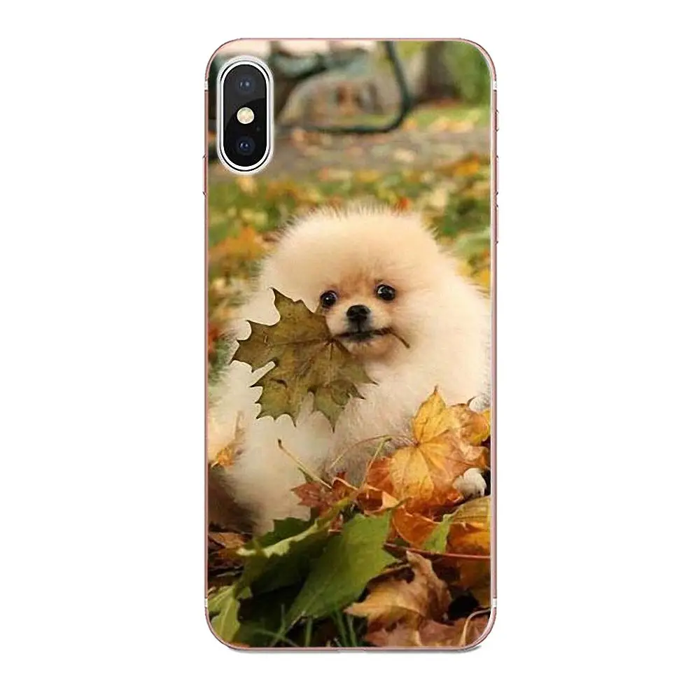 For Xiaomi Redmi Note 2 3 3S 4 4A 4X 5 5A 6 6A Pro Plus TPU Capa Case Pomeranian Dogs Dog Cute | Мобильные телефоны и