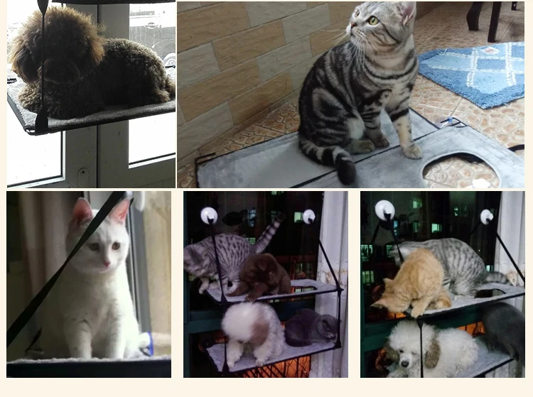 

Free shipping Mewmew Cute Small Animal Suspended Warm Plush single-deck Suction Cup Wall Pet Kitten Hammock Bed