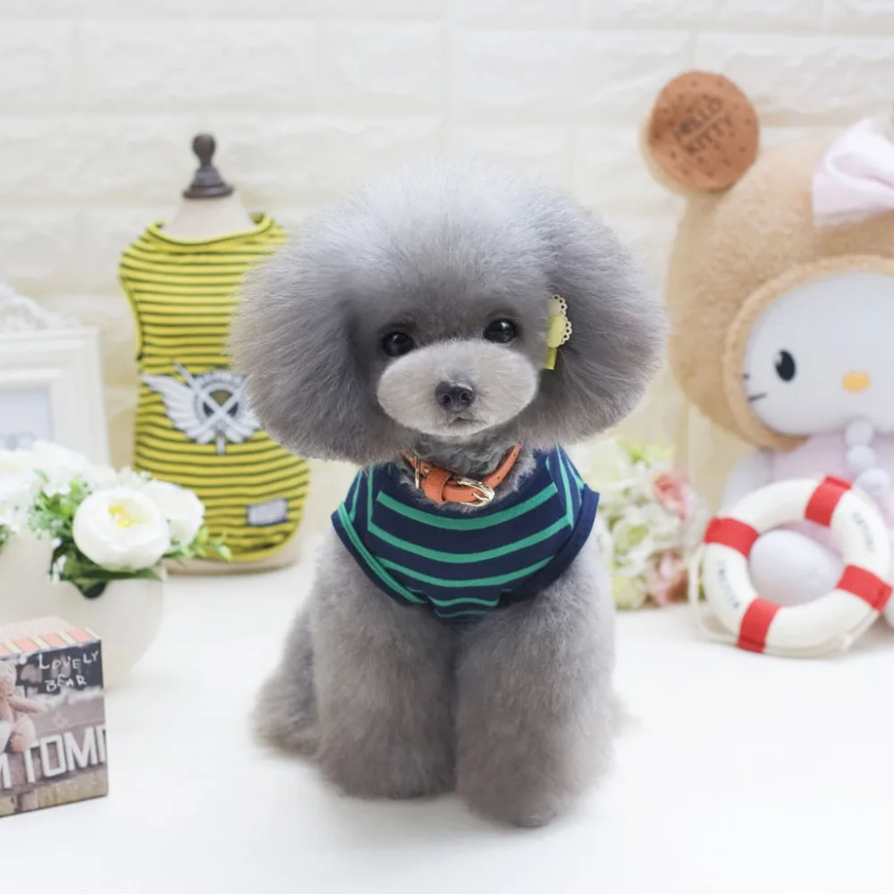 SENYEPETS 2019 жилет для одежды собак обнаруженный в весенне летних партиях с