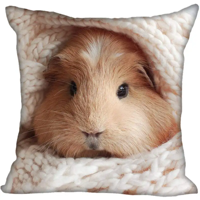 Чехол для подушки Guinea Pig гостиной 45х45см 40х40см (с одной стороны) наволочка