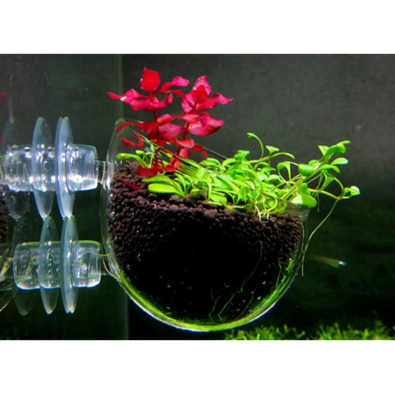 

Water Grass Breeding Basin Crystal Glass Potted Aquatic Planting Nursery landscaping Cup Ornament Decor Aquarium Accessories