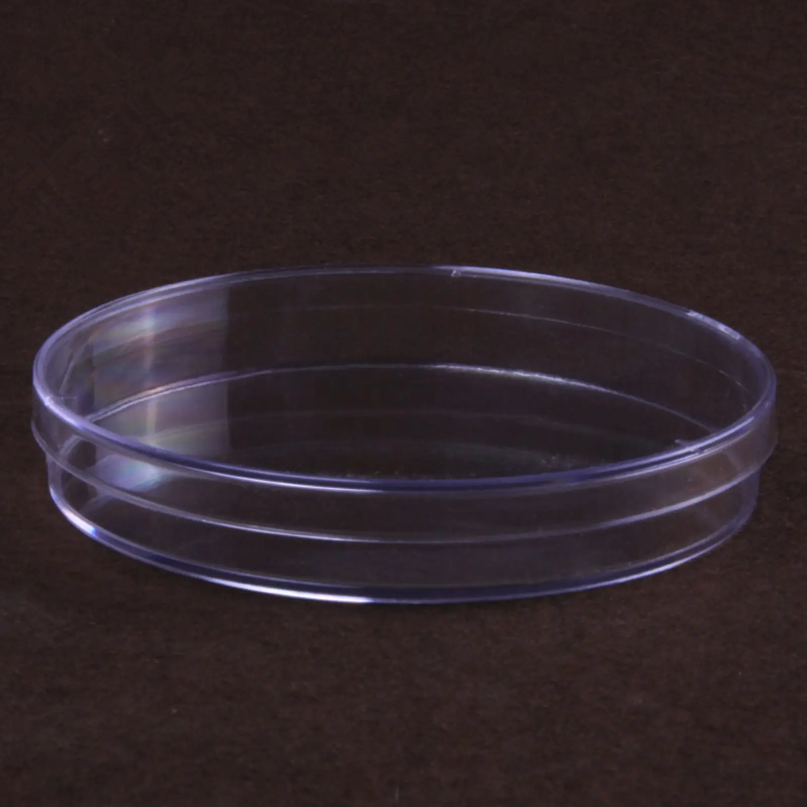 60 мм стерильный полистирол пластик PS чаша Петри пластина с крышкой Disposables 10 шт|petri