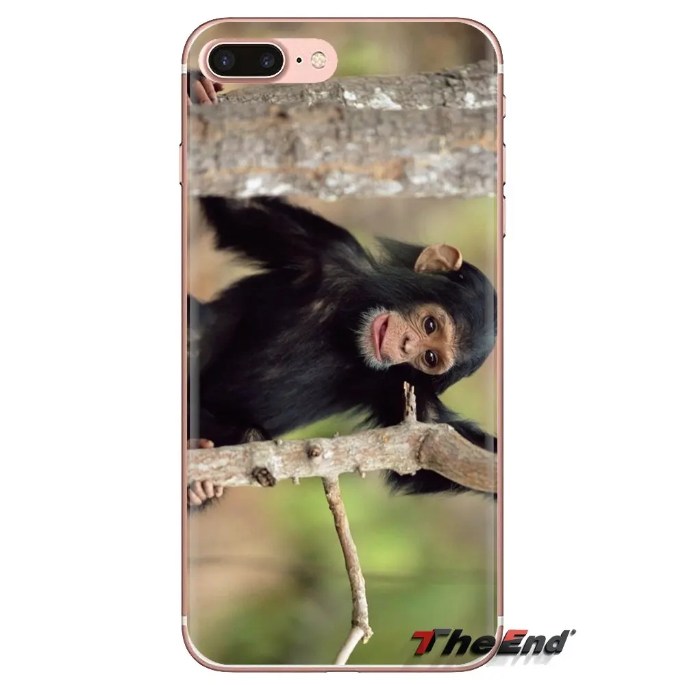 Soft Transparent Cases Covers Monkeys For iPod Touch Apple iPhone 4 4S 5 5S SE 5C 6 6S 7 8 X XR XS Plus MAX |
