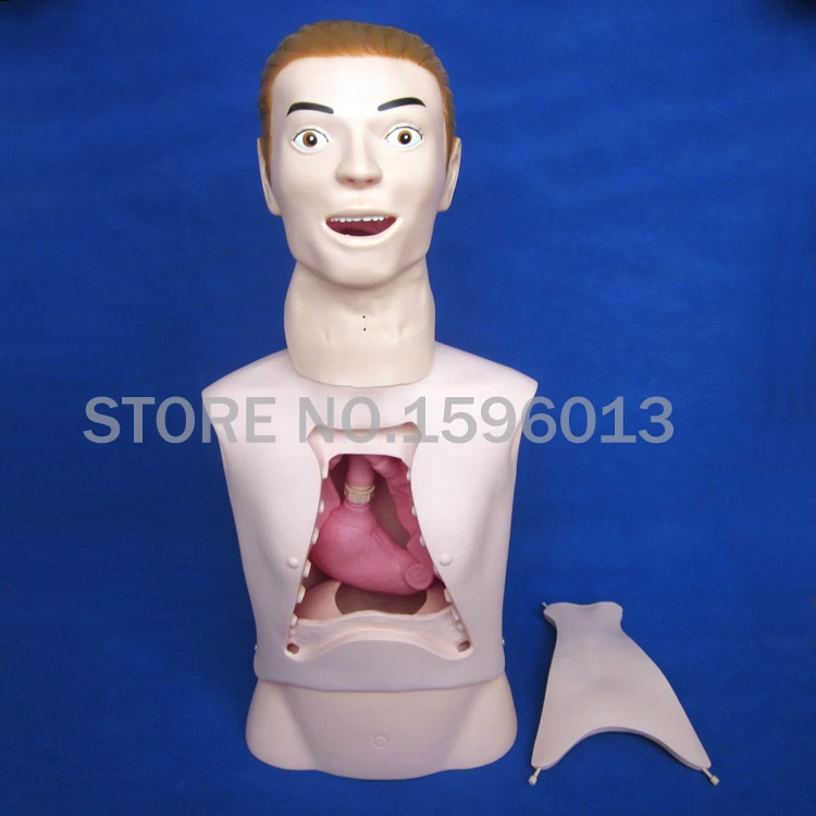 Популярный базовый манекен для кормления комбинированные симуляторы