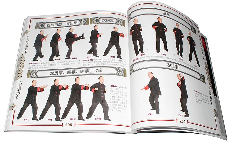 Крыло Chun книга на китайском языке с 2 DVD для обучения китайский кунг-фу ушу