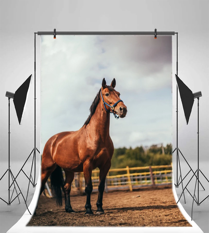 Фотофоны Laeacco с изображением фермы лошади перил детей индивидуальные фоны для