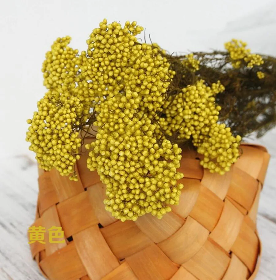 10 пряди Ozothamnus Diosmifolius консервированный цветок для свадьбы вечеринки домашнего