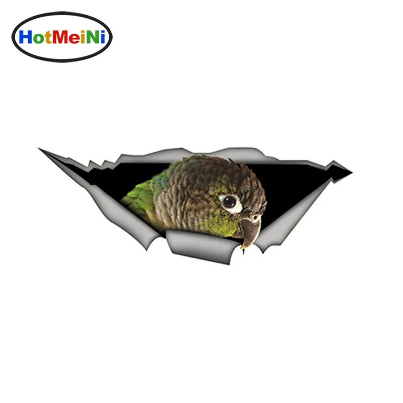 HotMeiNi 3D Автомобильные наклейки зеленая щека Conure забавная наклейка с попугаем