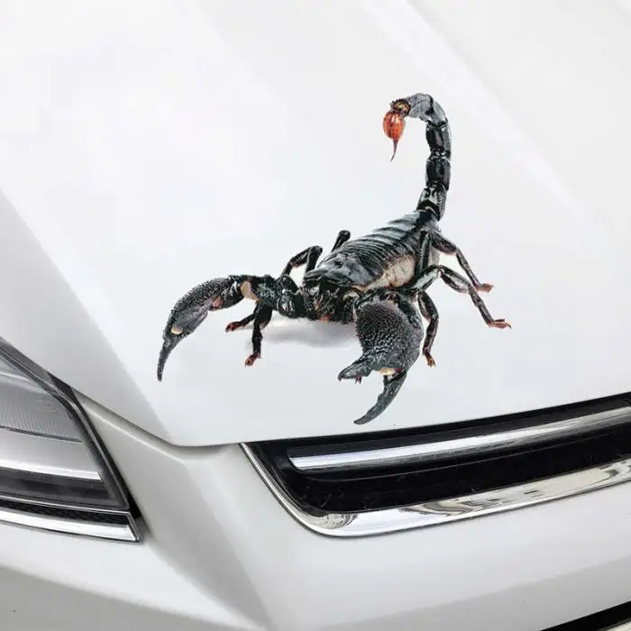3D ПВХ стикер автомобиля ящерица скорпион паук наклейка на кузов и окна автомобиля Наклейка DXY88