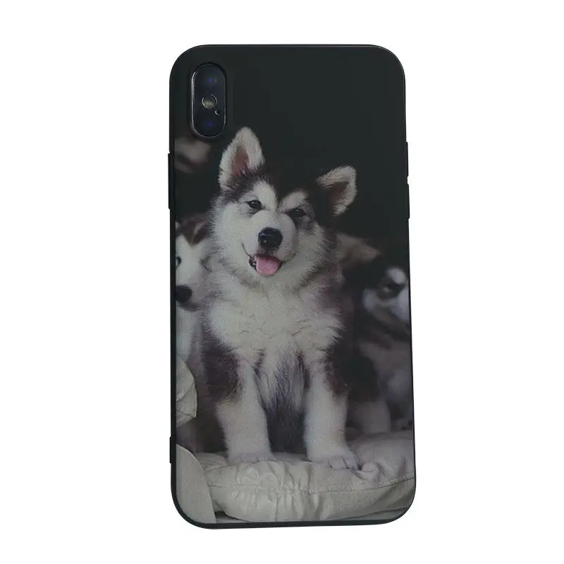 Милый чехол для телефона Yinuoda Husky для iPhone11 Pro Max 8 8plus 7 7plus 6 6plus 5 5S 5c SE Чехол для мобильного телефона