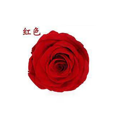 red YO CHO 8 шт. сохраненные вечные розы головы в коробке Высокое качество сухой Натуральный Свежий цветок навсегда Роза год подарок на день Святого Валентина 5 см - Цвет: red