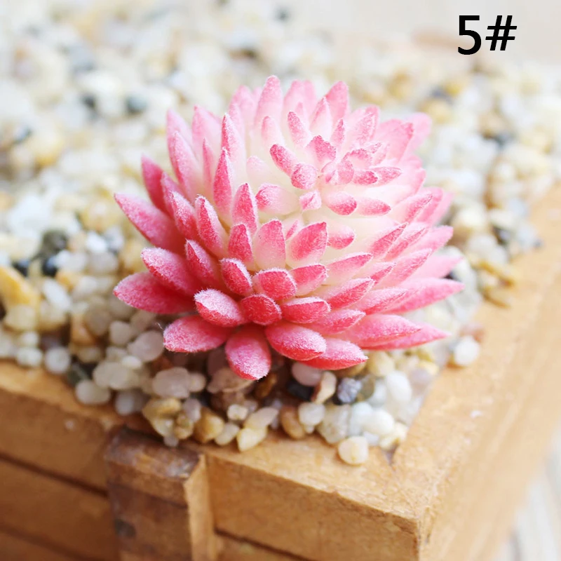 6 см/2 36 "Искусственный пластик суккулент завод Sinocrassula цветок для дома и офиса