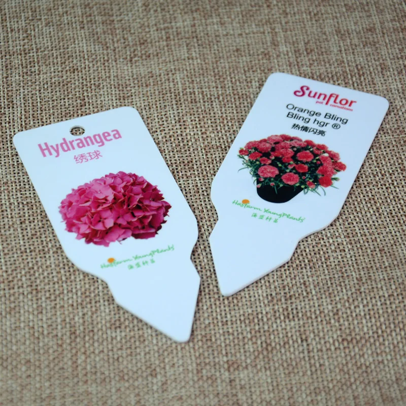 Индивидуальные размер печати имеют отверстия специальные пластмассовые формы