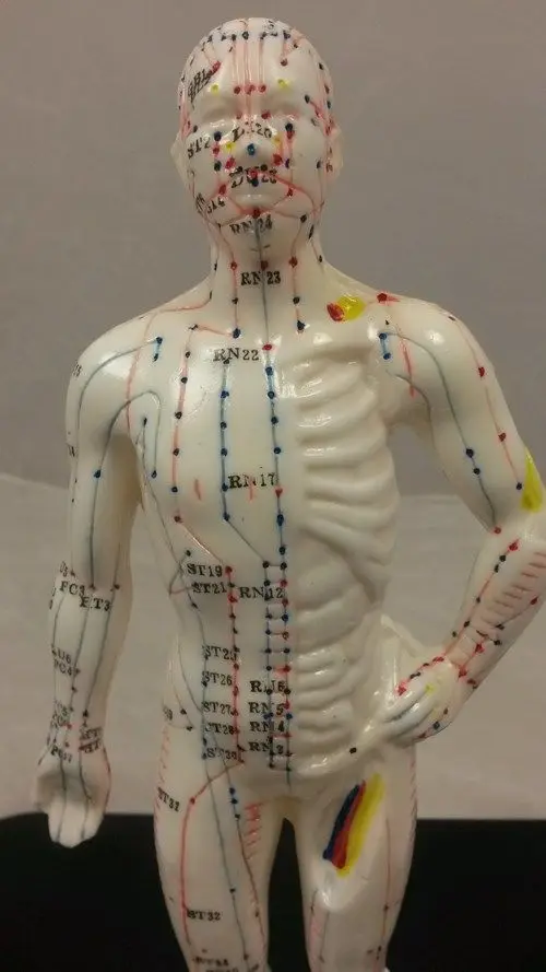 Акупунктурная точка для тела 26 см модель из ПВХ искусственных фотографий