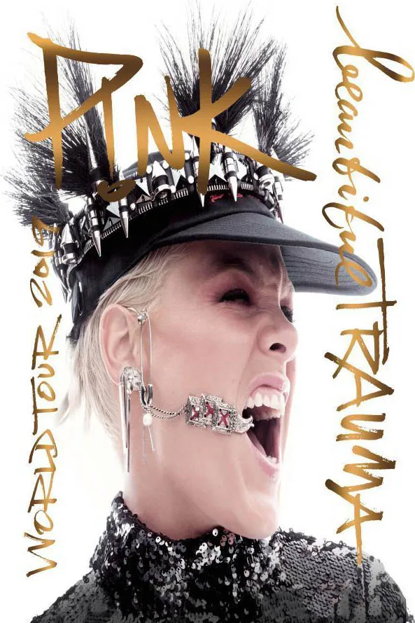 Q1677 Плакаты и принты P!NK красивые &quotЗвезды поп музыки 12x18 24x36 Горячая