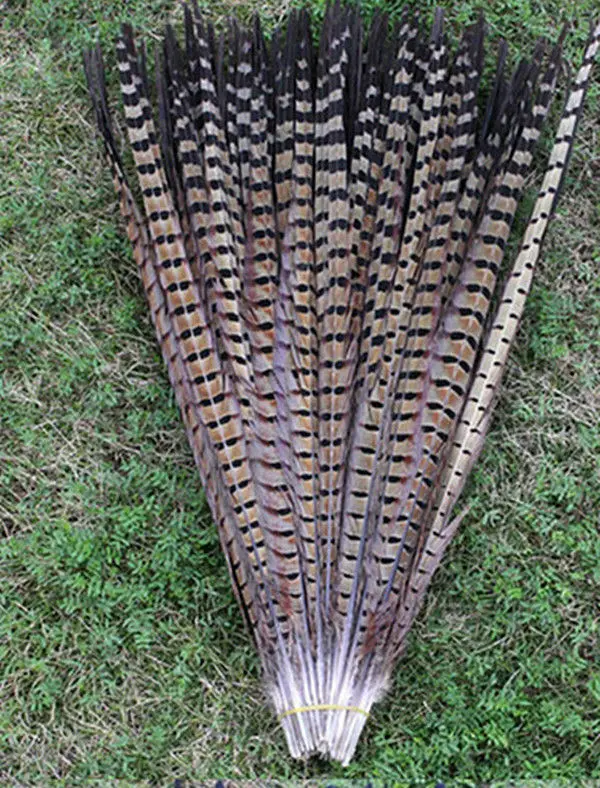 

free delivery! 50pcs18-20 inch / 45-50cm high quality natural pheasant feathers, decorative accessories DIY