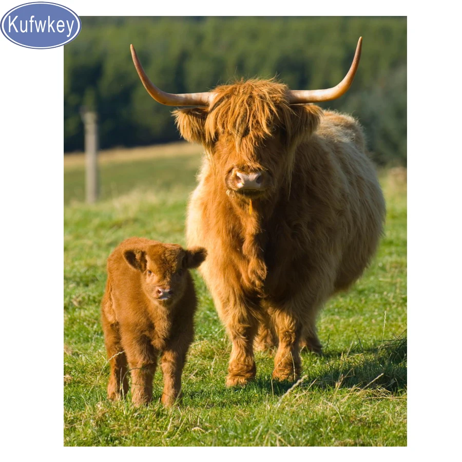 Алмазная живопись Корова Highland мозаика с кристаллами полноразмерная/круглая