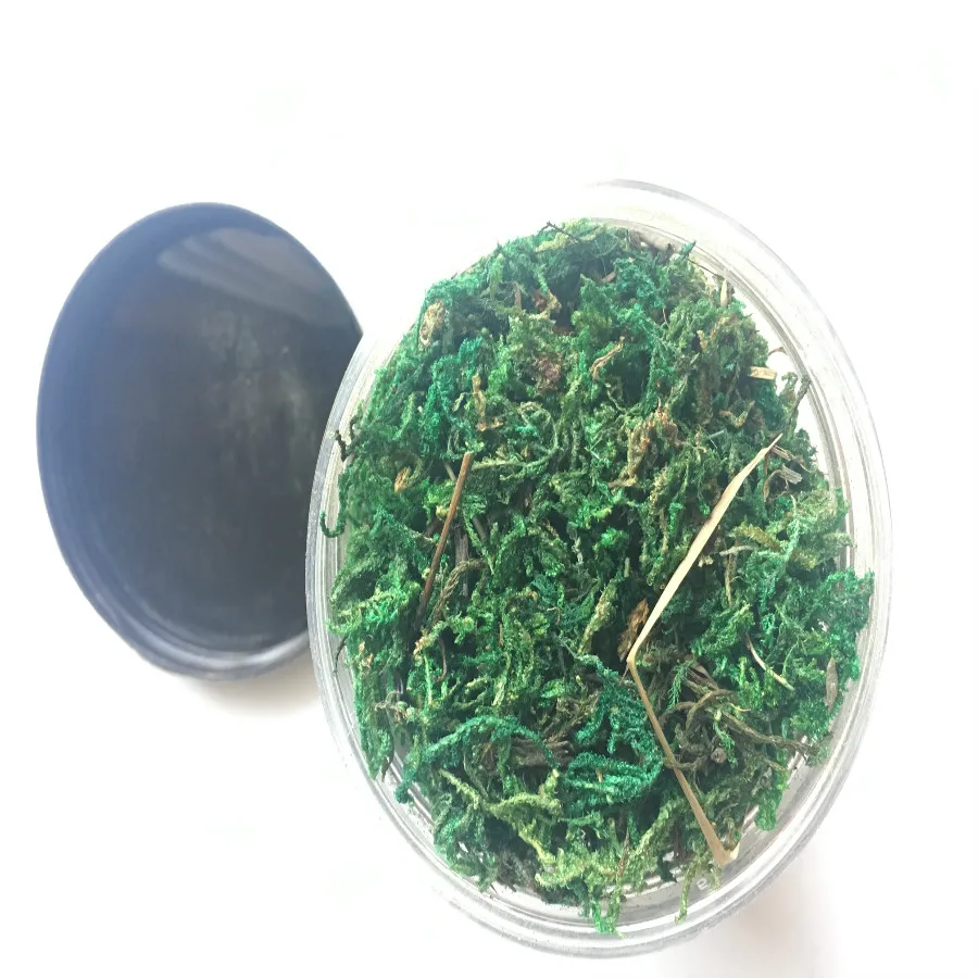 150 ml/lot 400 ml/lot воины дикий военный песок Настольный Пейзаж Модель Материал растительность имитация травы