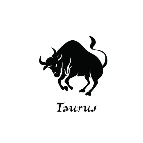 Taurus Модный браслет 12 знаков зодиака для мужчин и женщин Дева весы Скорпион Телец мужские кожаные браслеты мужские ювелирные изделия - Окраска металла: Taurus