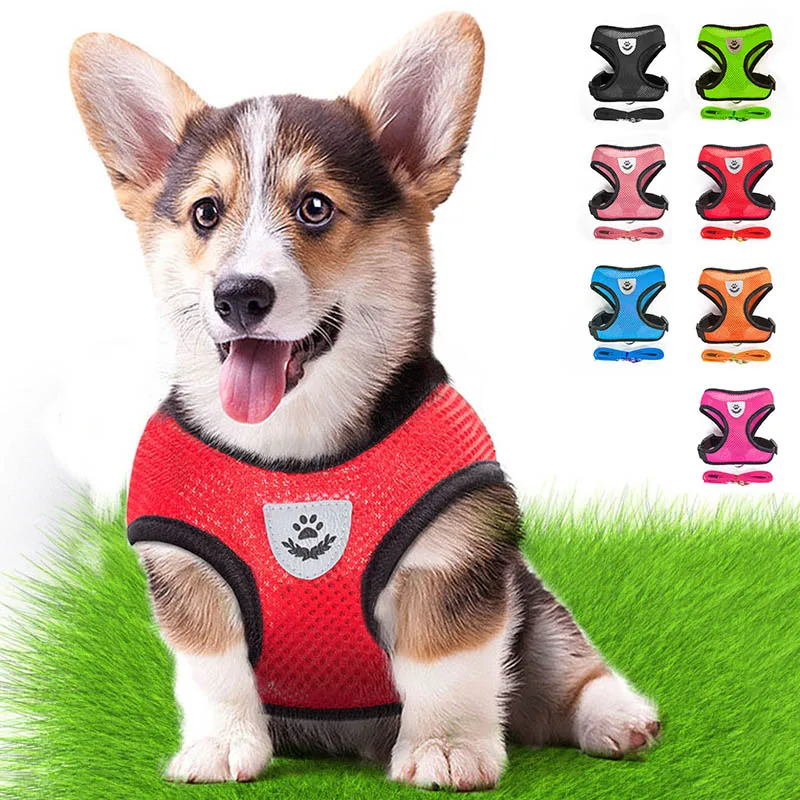 Поводок и поводок для собак кошек комплект маленьких щенков светоотражающий