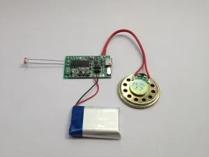 Музыкальный привод MP3 на заказ Музыкальная карта игрушечная Речевая доска