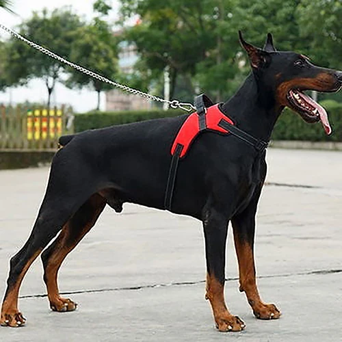 Регулируемая Подвеска для собак|dog harness|dog walkharness vest |