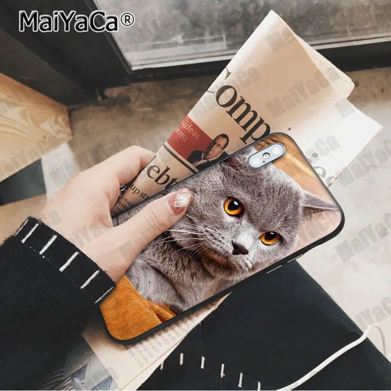 A14 MaiYaCa милый Британский короткошерстный кот Новинка чехол для телефона Fundas чехол для Apple iphone 11 pro 8 7 66S Plus X XS MAX 5S SE XR чехол - Цвет: A14