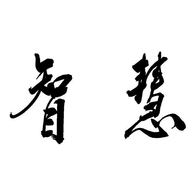 

17*9CM WISDOM Chinese Character Stylish Car Stickers Decal Personality Car Styling Accessories Black/Silver C9-0639