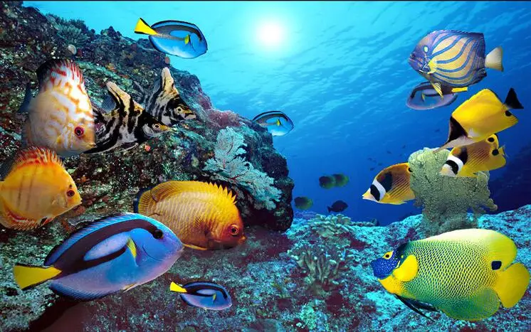 Бесплатная доставка 3D наклейки о тропическая рыба настольный компьютер