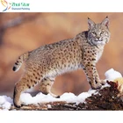 Zhui Star 5D DIY полностью квадратное сверло алмазное Рисование крестиком Lynx Стразы Алмазная вышивка мозаика украшение для дома подарок