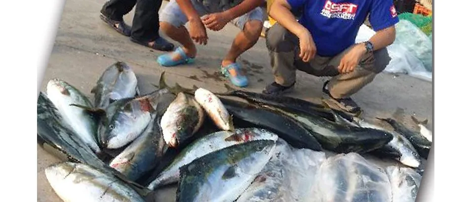 Приманка для морской ловли басов, хорошее качество, брендовая приманка 125 мм, Тонущая наживка, приманка для морской рыбалки, искусственная приманка