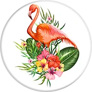 colour 5 Разъем для мальчиков, анти-падение, держатель для телефона, складная подставка, подставка, держатели для телефонов, разъем для iPhone X XS XR MAX 8 7 6s Plus - Цвет: colour 5