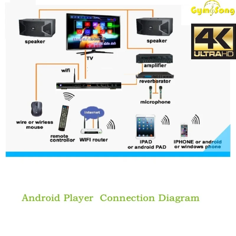 20 шт./лот GymSong MTV Android KTV Жесткий драйвер караоке плеер встроенный WIFI и приложения Ktv