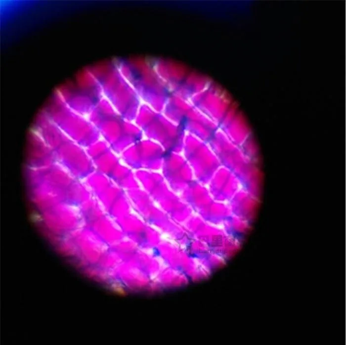 микроскоп microscope электронный биологический лупа Микроскоп бинокулярный мини