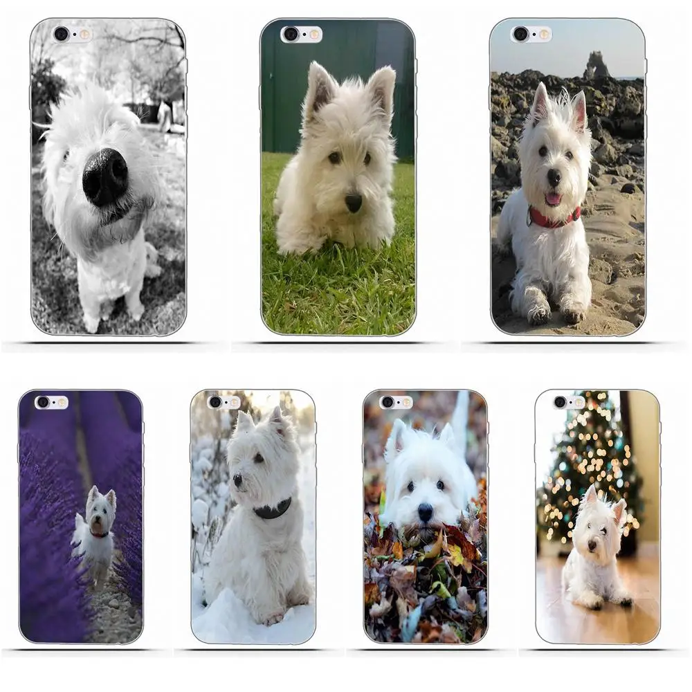 West Highland Terrier Westie Dog Puppy Мягкая коробка для звонков Galaxy Alpha Core Prime Note 4 5 8 S3 S4 S5 S6 S7 S8 S9 mini