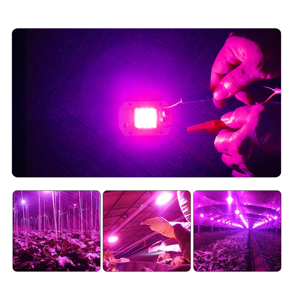 Светодиодный Grow светильник полный спектр COB Чип AC220V 110V 20 Вт 30 50 ручная сборка