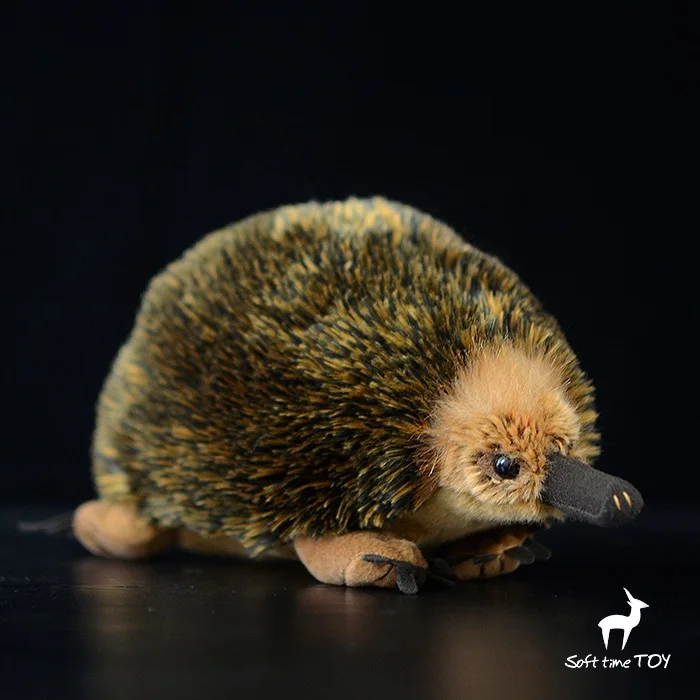 Мягкая игрушка животное реальная жизнь дикая эхидна кукла подарок для детей