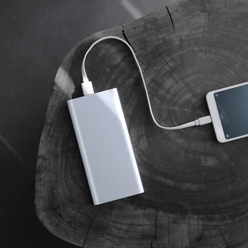 10000 мАч Внешний аккумулятор Xiaomi Mi 2i внешний 18 Вт быстрая зарядка PLM09ZM с двойным