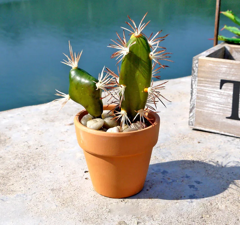 Кактус колючая груша искусственная кожа домашнее рождественское свадебное