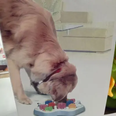 

Slow Feed Bowl Interactive Bloat Stop Pet Feed Bowl Slow Eating for Dog