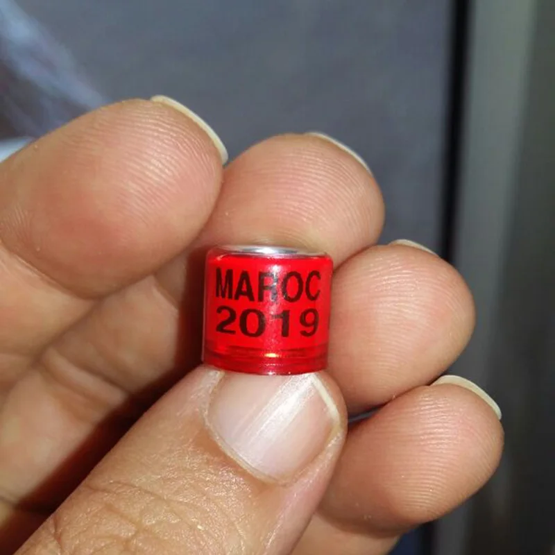 2019 голубь кольцо NL зеленое птичье фазана Качественные прочные разноцветные