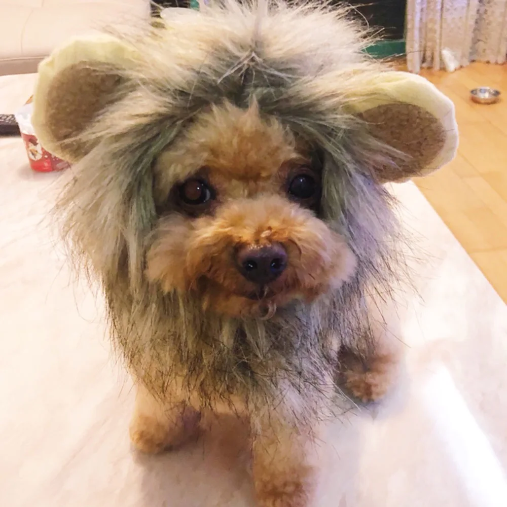 Hoopet кошка костюм одежда Кепка забавная шляпа Лев грива парик шляпа вечерние аксессуары для косплея